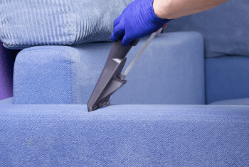 sofa cleaning